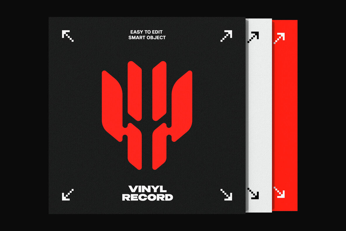 Vinyl Disc Mockup 4