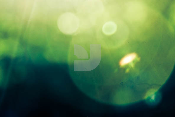 Flare 02 Flare 02