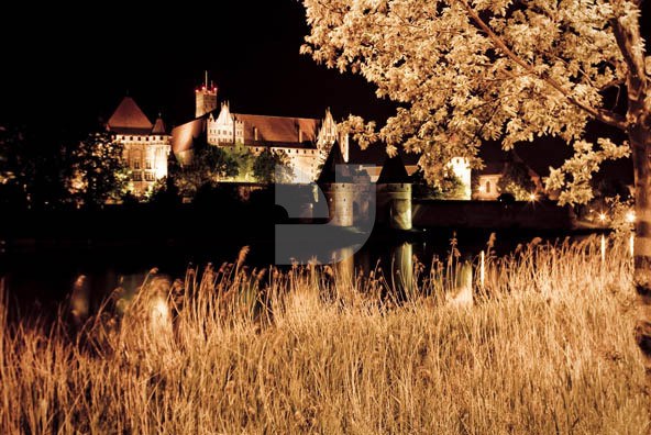 Malbork Castle 1
