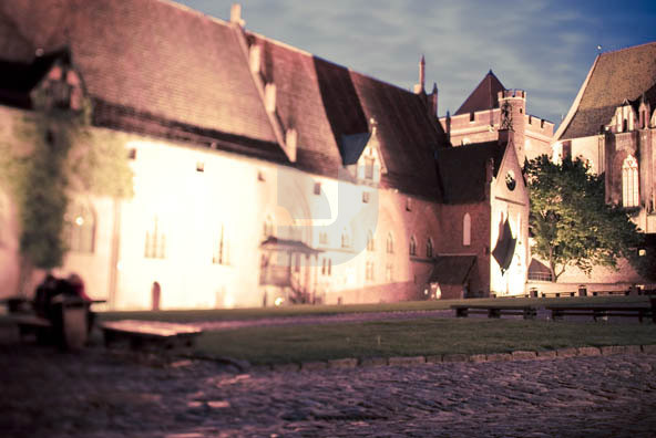 Malbork Castle 8