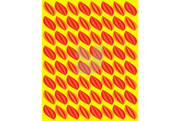 Funkyback Patterns 05 Funkyback Patterns 05