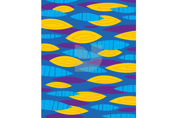 Funkyback Patterns 14 Funkyback Patterns 14
