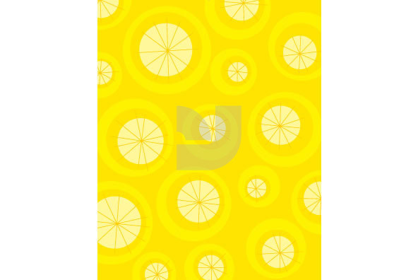 Funkyback Patterns 14 Funkyback Patterns 14