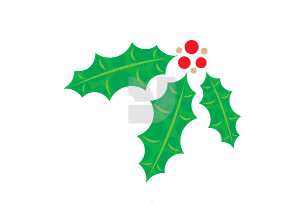 Christmas Holly Christmas Holly