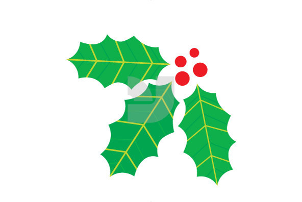 Christmas Holly Christmas Holly