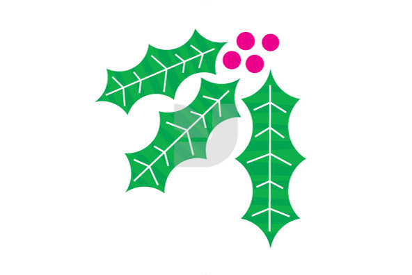 Christmas Holly Christmas Holly