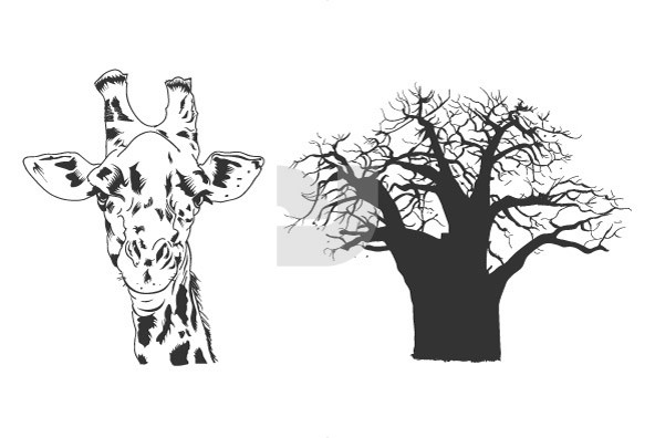 Sketches of Africa 2