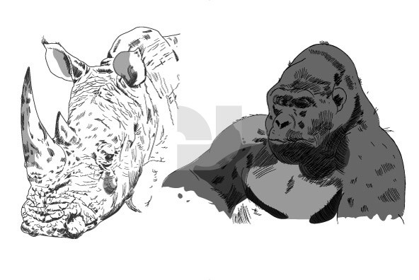 Sketches of Africa 4