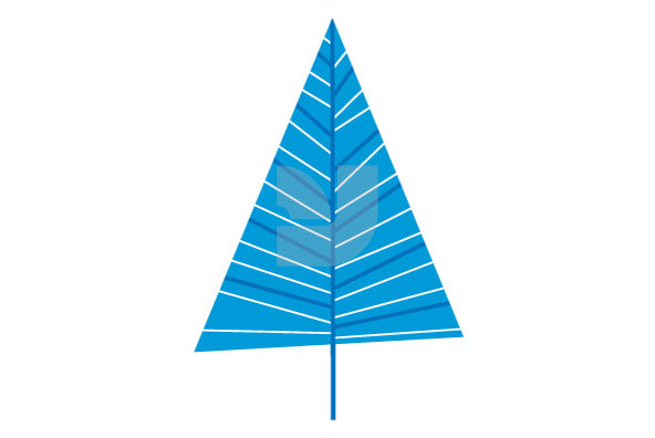 Christmas Trees 03 16