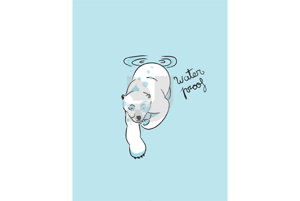 Polar Bears Polar Bears