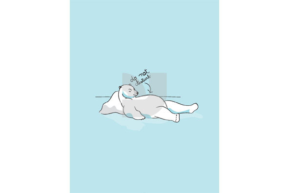 Polar Bears Polar Bears