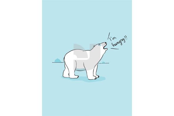 Polar Bears Polar Bears