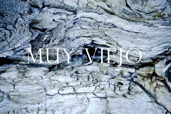 Muy Viejo 1