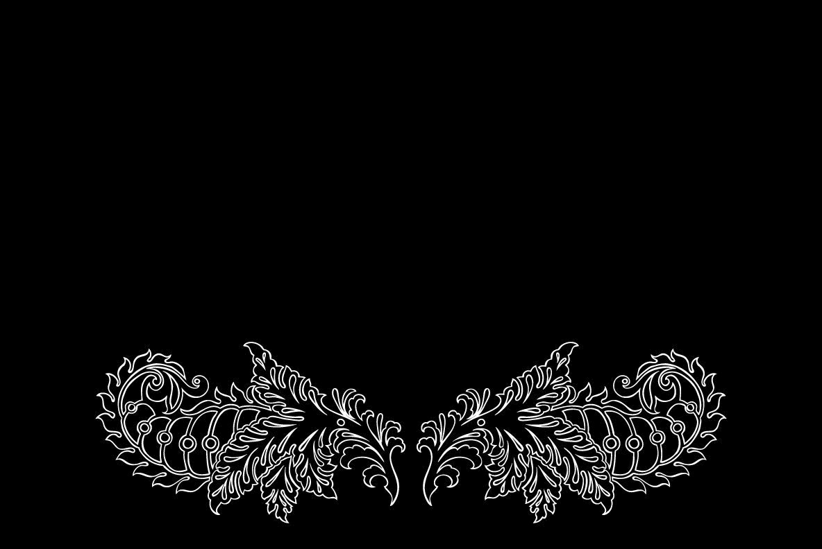 Hand Drawn Paisley Collection 5