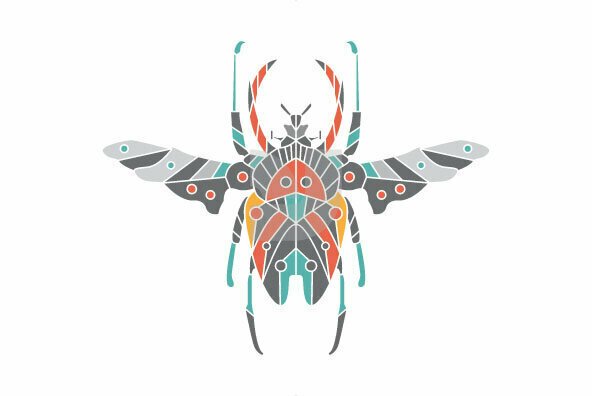 Insect Insect