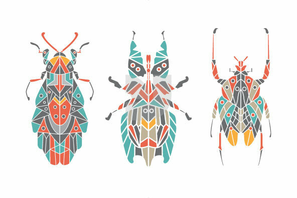 Insect Insect
