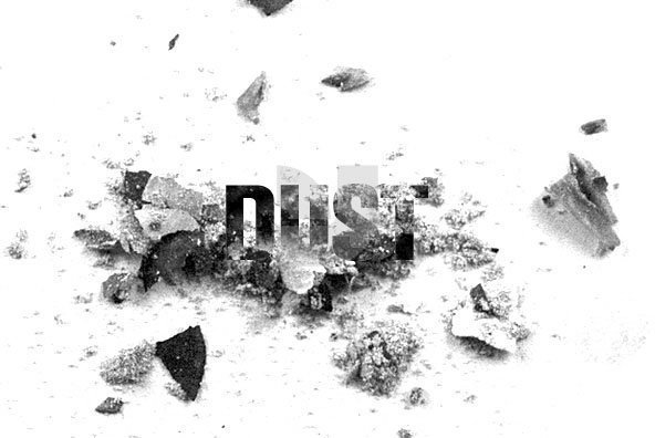 Burnt Brushes Burnt Brushes