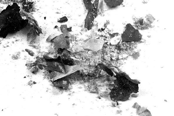 Burnt Brushes Burnt Brushes