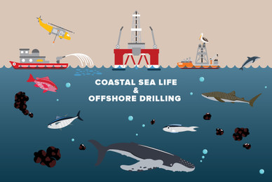 Coastal Sea Life and Offshore Oil Drilling