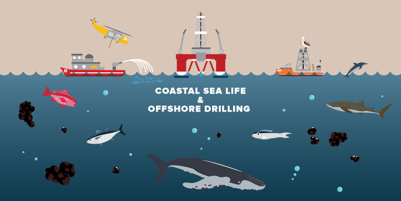Coastal Sea Life and Offshore Oil Drilling