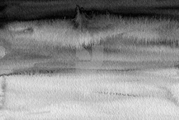 AquaColour  Washes 5