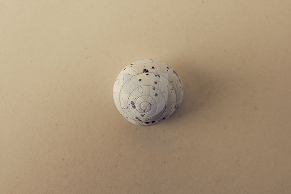 The Shell Collection 14