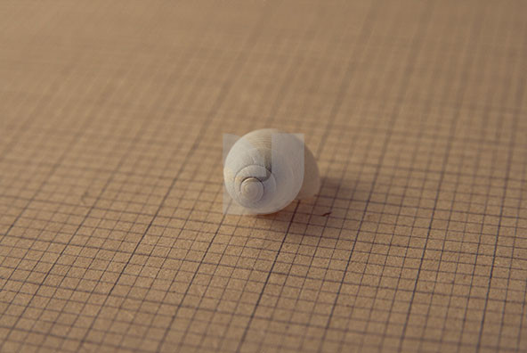 The Shell Collection 19