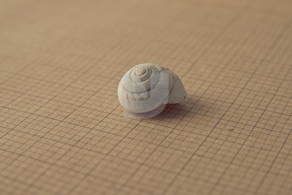 The Shell Collection 20