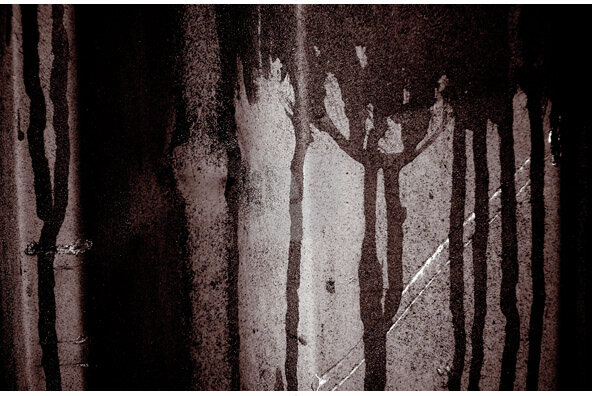 100 Textures Collection 100 Textures Collection