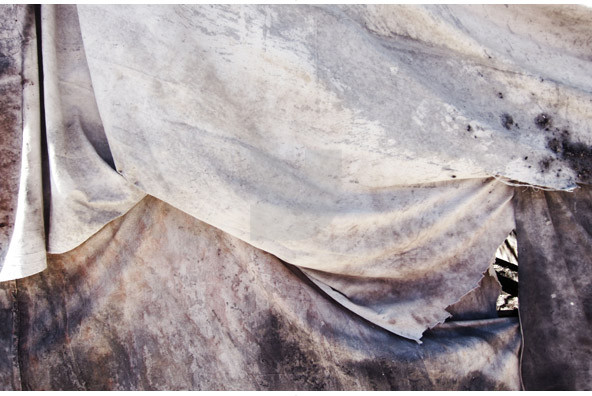 Fabric Textures Collection Fabric Textures Collection