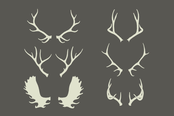 Antlers Antlers