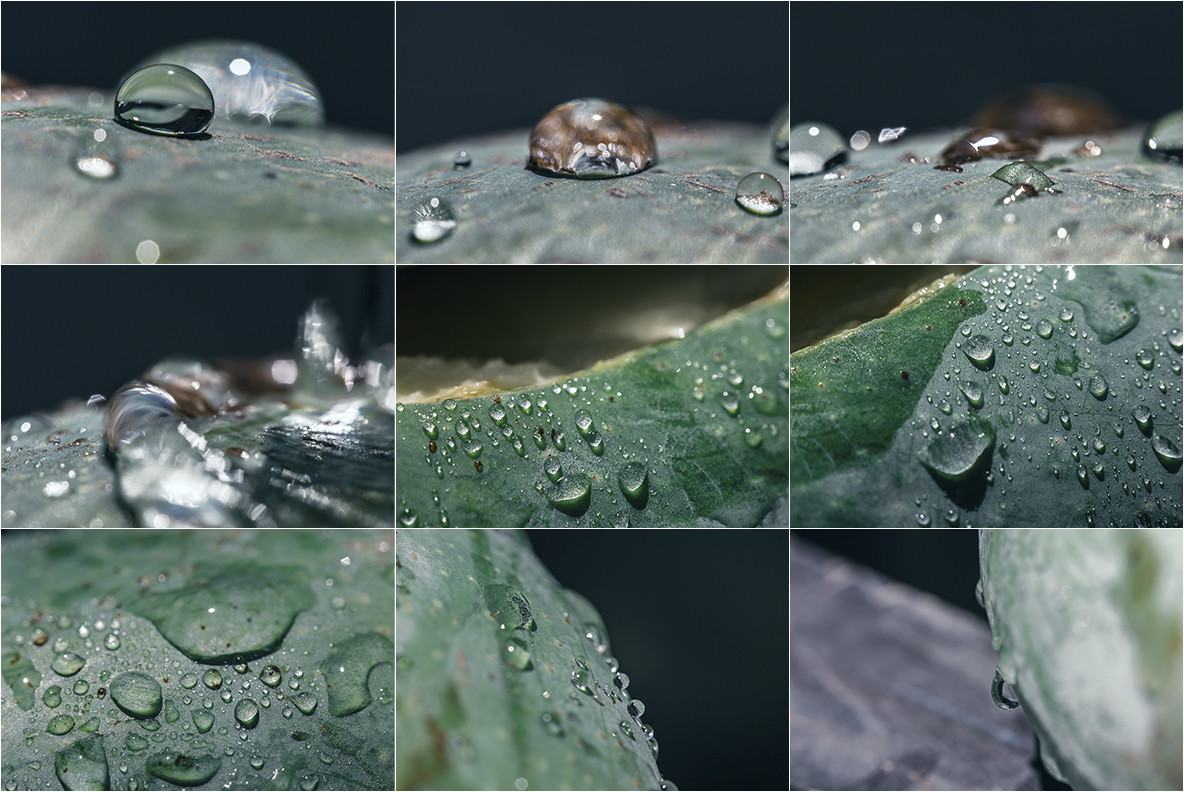 35 Water Droplet Images