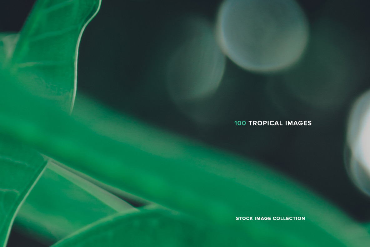 100 Tropical Images 1