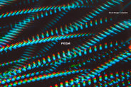 Prism