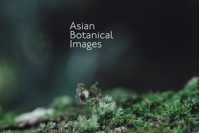 Asian Botanical Images