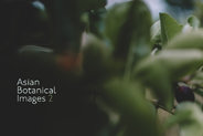 Asian Botanical Images 2