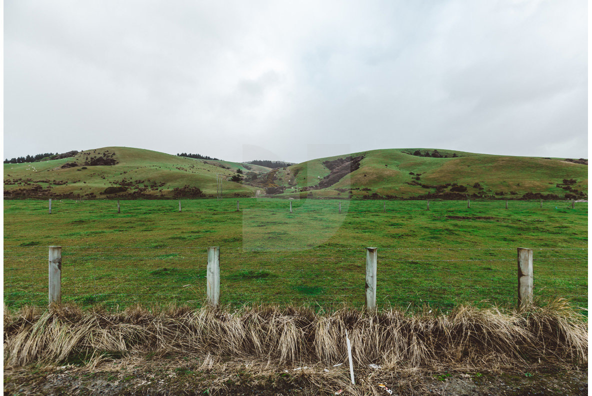 Adventure NZ Fields Adventure NZ Fields