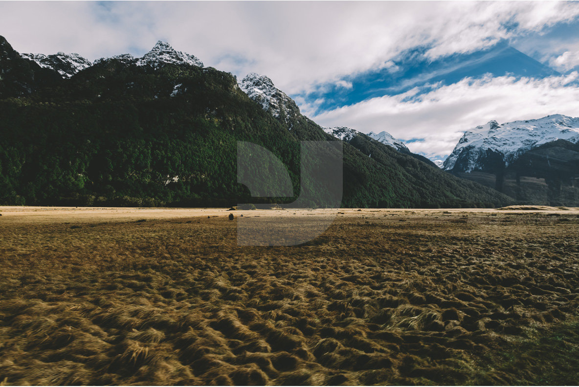 Adventure NZ Fields Adventure NZ Fields