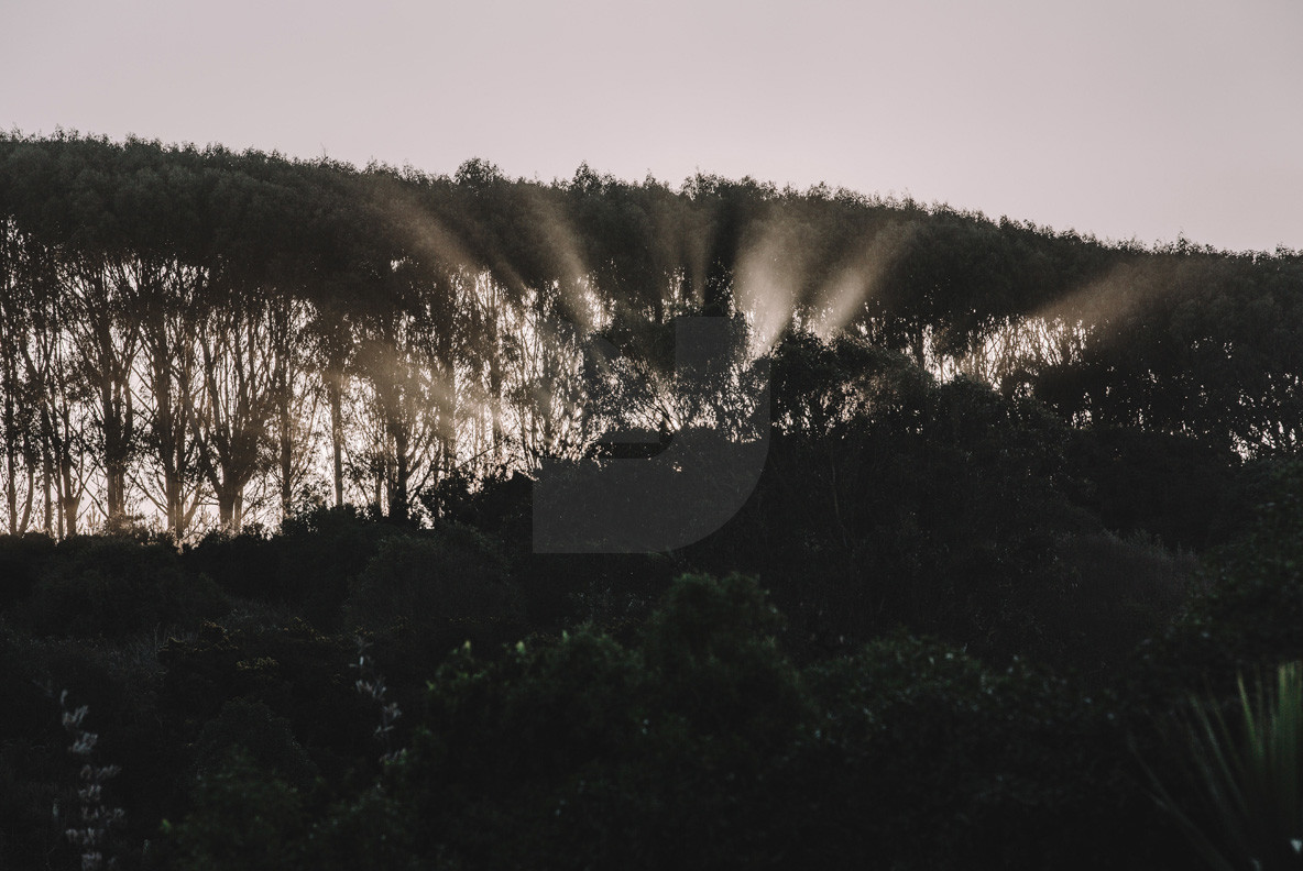 Adventure NZ Landscapes 2 Adventure NZ Landscapes 2