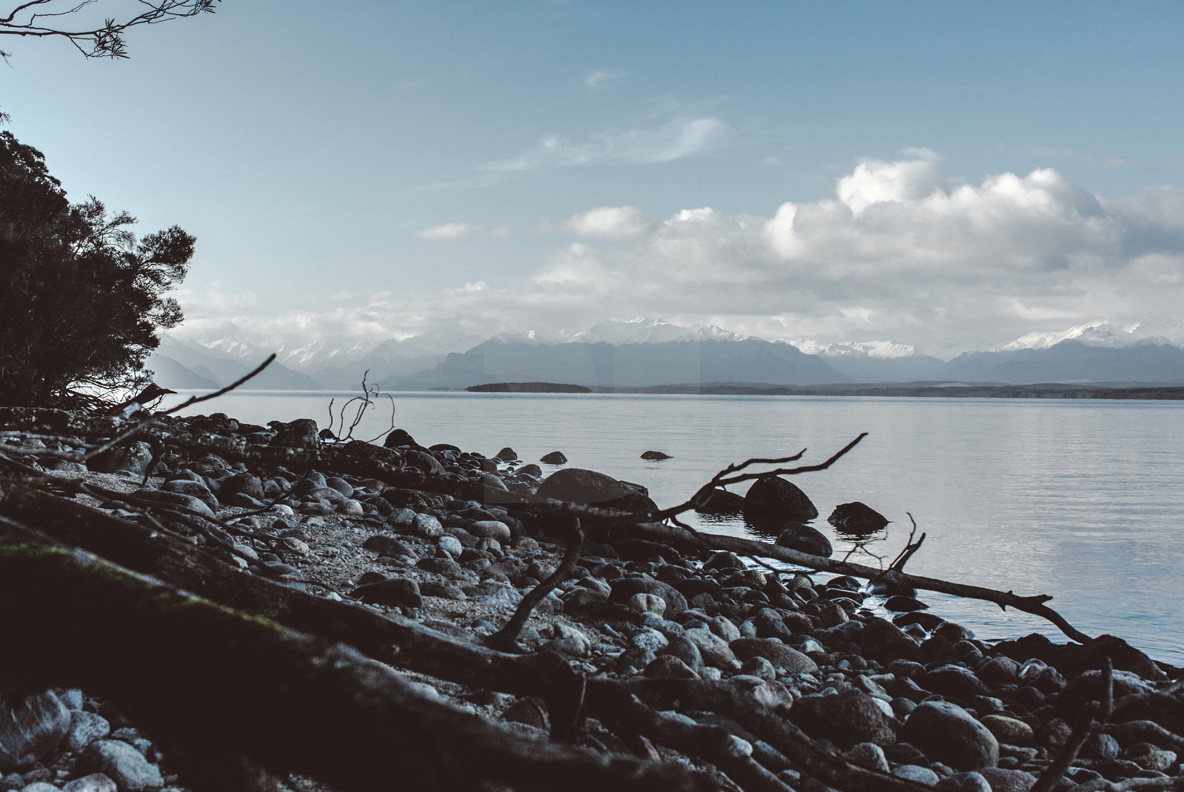 Adventure NZ Waterside Adventure NZ Waterside