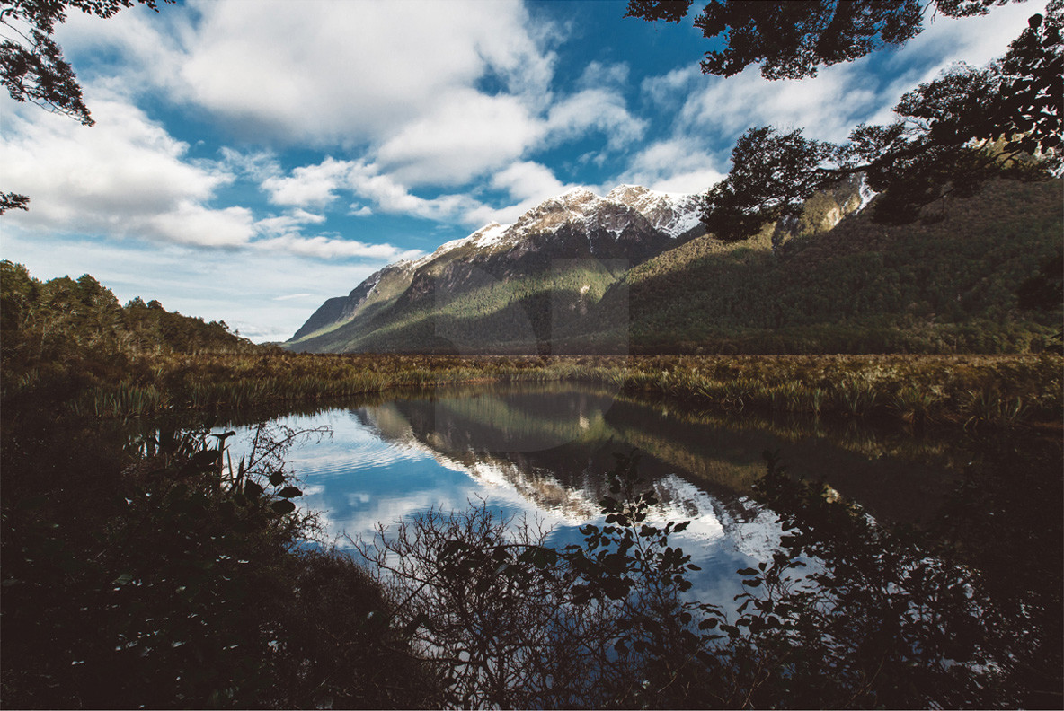 Adventure NZ Waterside Adventure NZ Waterside