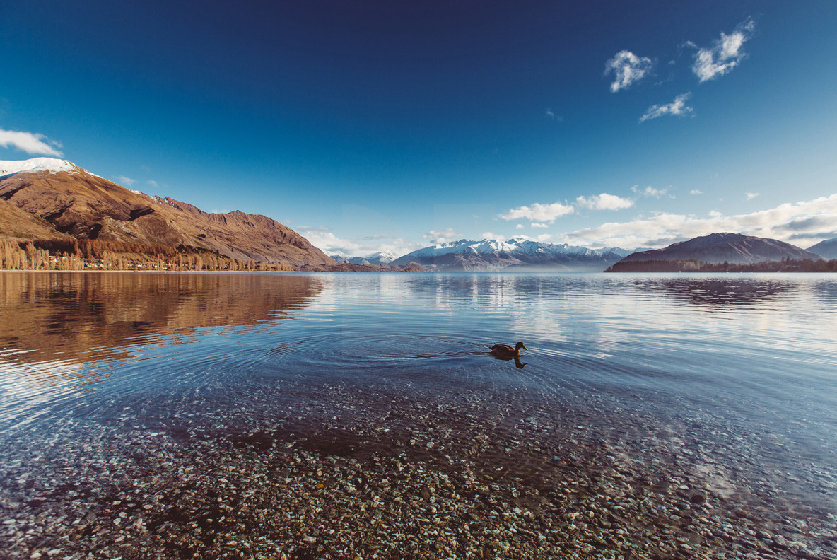Adventure NZ Waterside 2 Adventure NZ Waterside 2