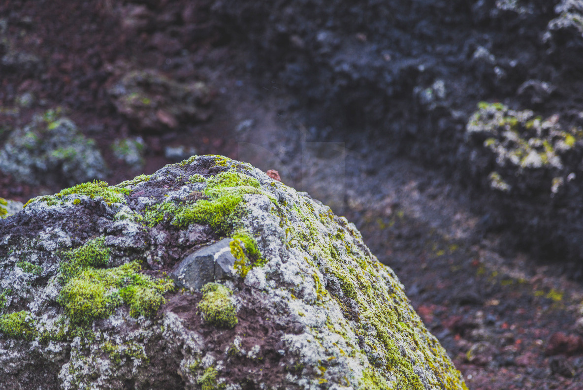 Iceland Terrain 03 3