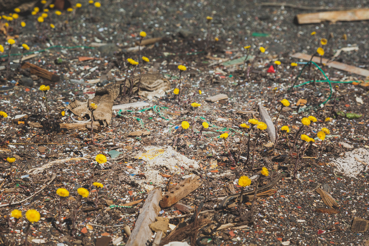 Iceland Terrain 03 8