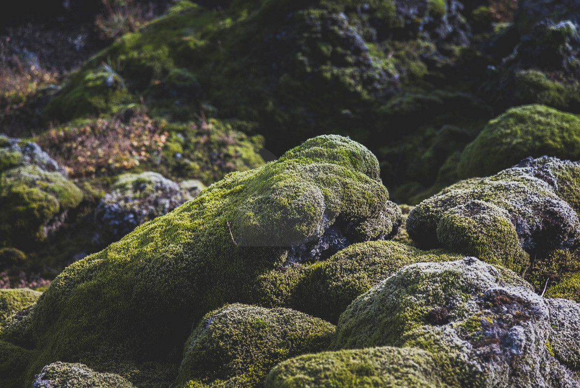 Iceland  Terrain 04 4