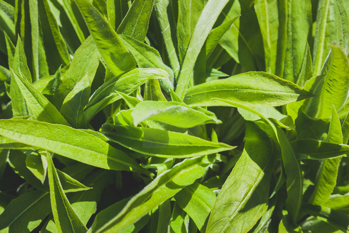 Iceland Terrain 06 8