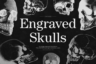 Engraved Skulls Illustrations