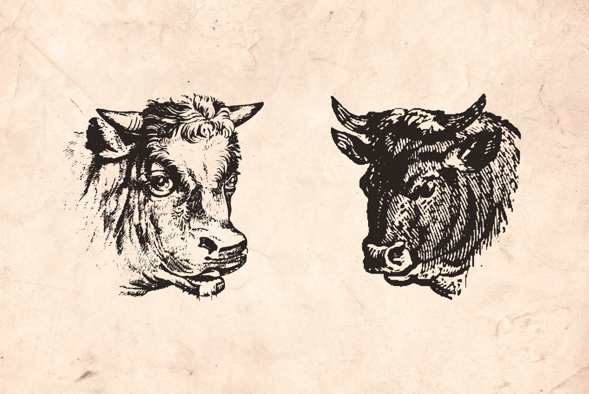Vintage Animal Farm Illustrations Vintage Animal Farm Illustrations