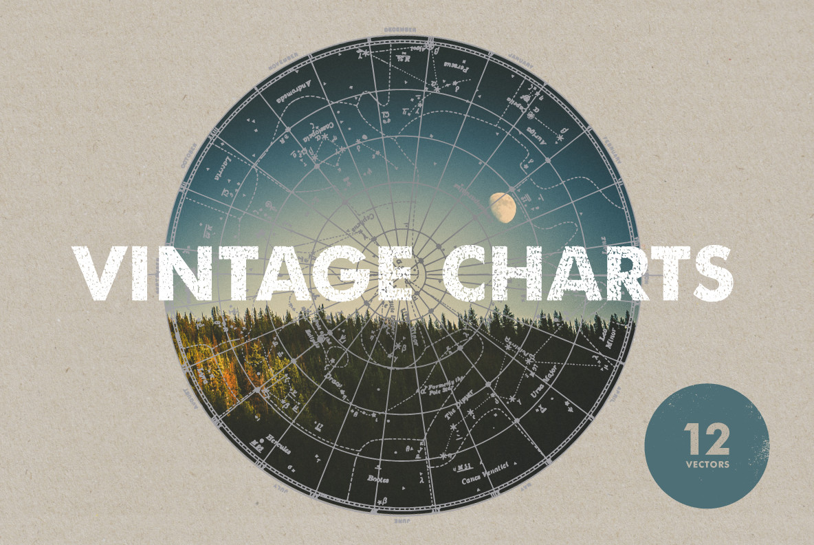 Vintage Charts   12 Vectors 1
