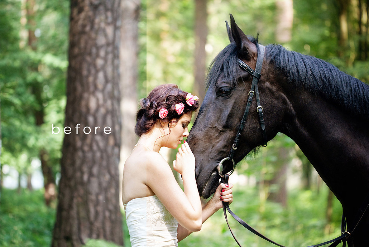 Togs Toolbox Action Collection 3